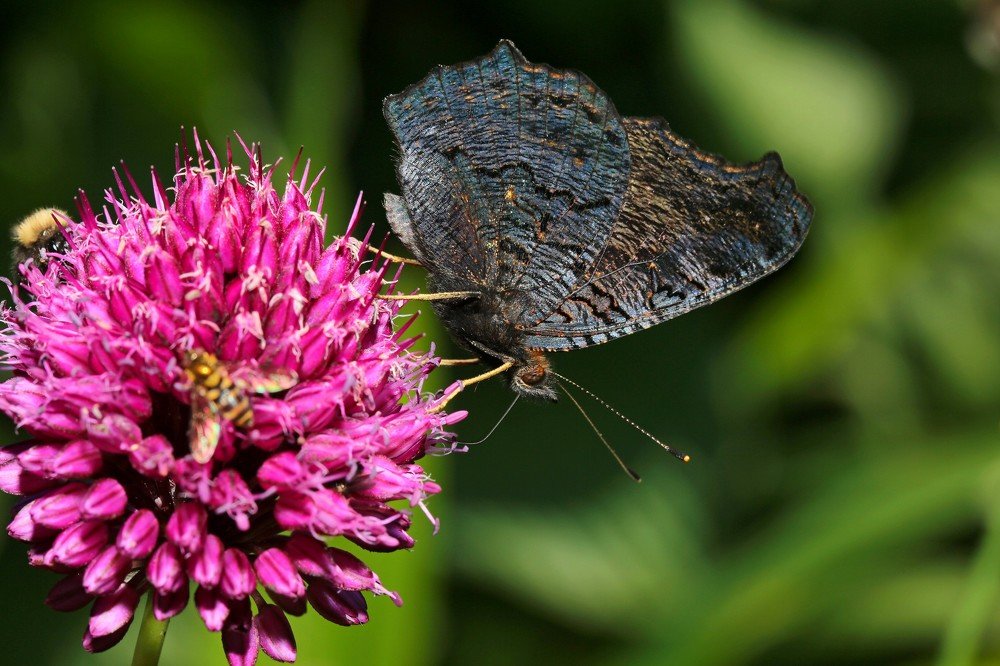 Photograph by Татьяна Александрова
