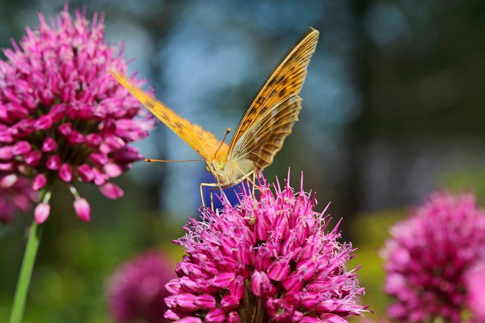 Photograph by Татьяна Александрова