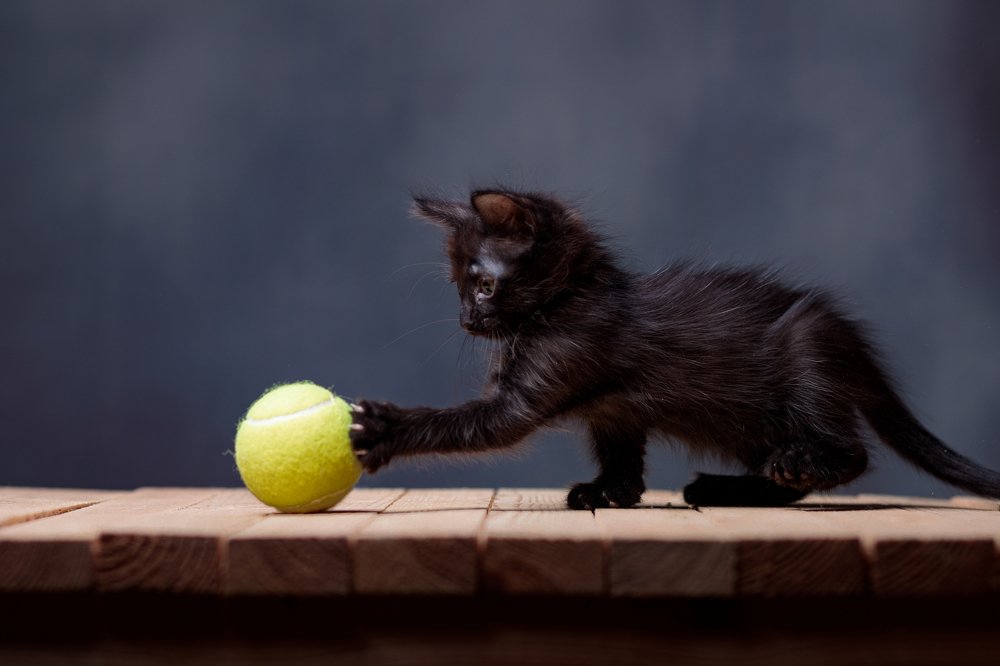 Photograph by Андрей Богданов