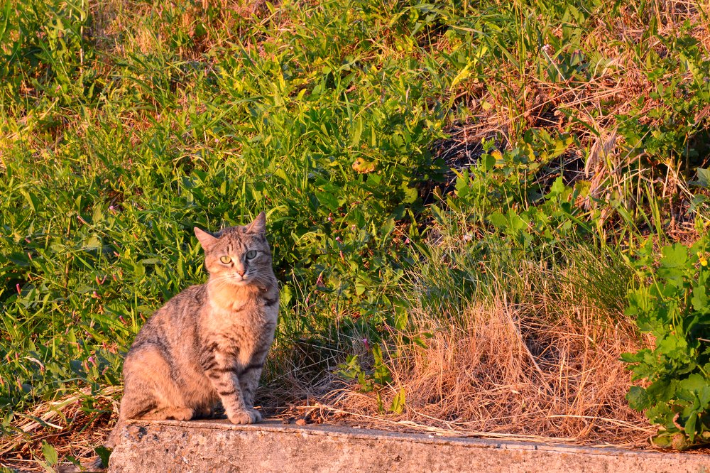 Photograph by Анатолий Орлов