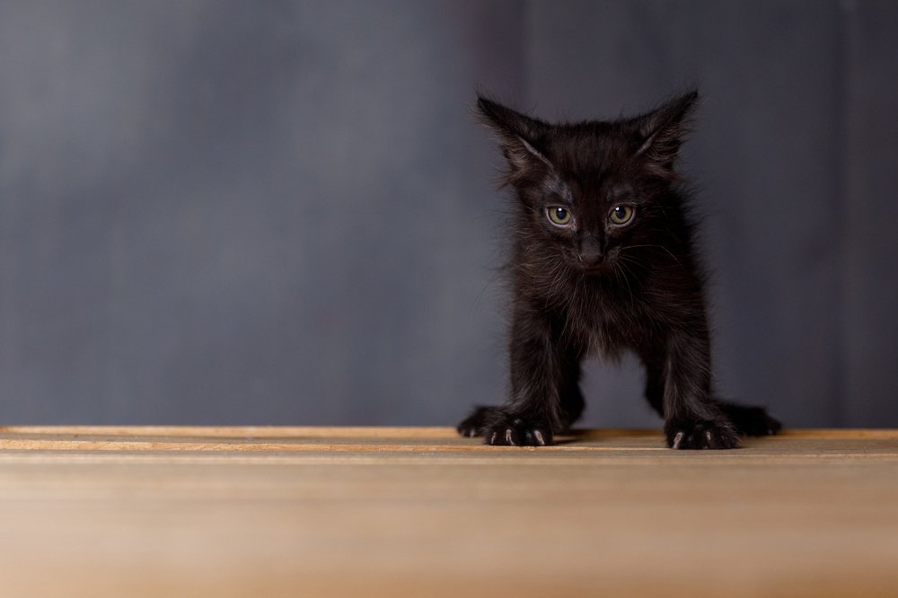 Photograph by Андрей Богданов