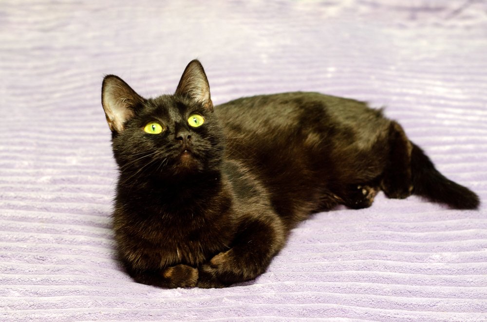 Photograph by Светлана Семенова