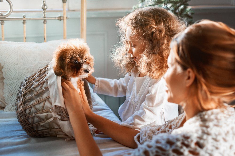 Рождественское утро.