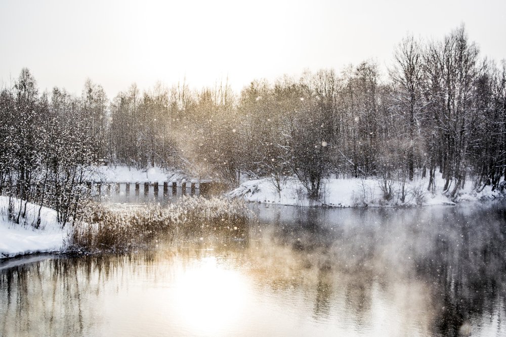 Photograph by Alla Matrosova