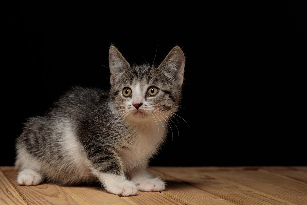 Photograph by Андрей Богданов