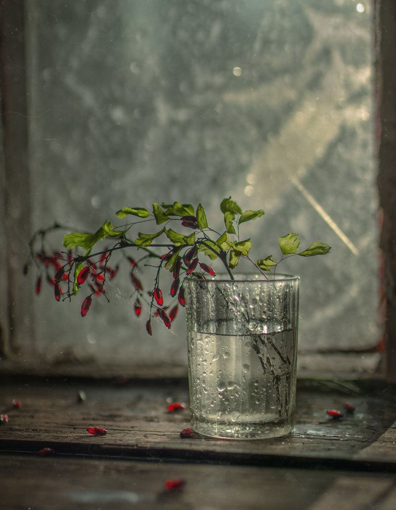 Photograph by Svoboda Andreeva