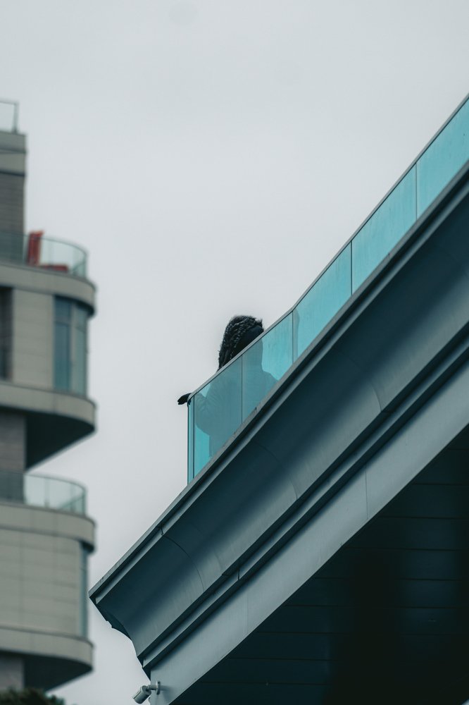 Photograph by Богдан Золкин