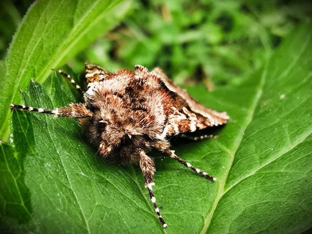 Photograph by Юлия Иванова