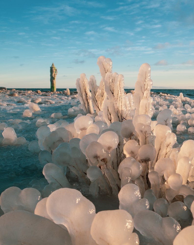 Photograph by Ольга Линк