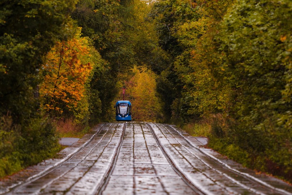 Фотография автора Mihail Siergiejevicz