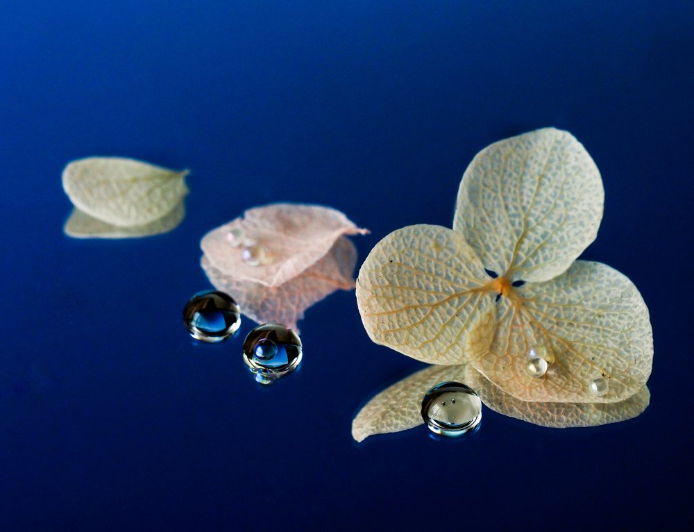 Photograph by Ольга Линк