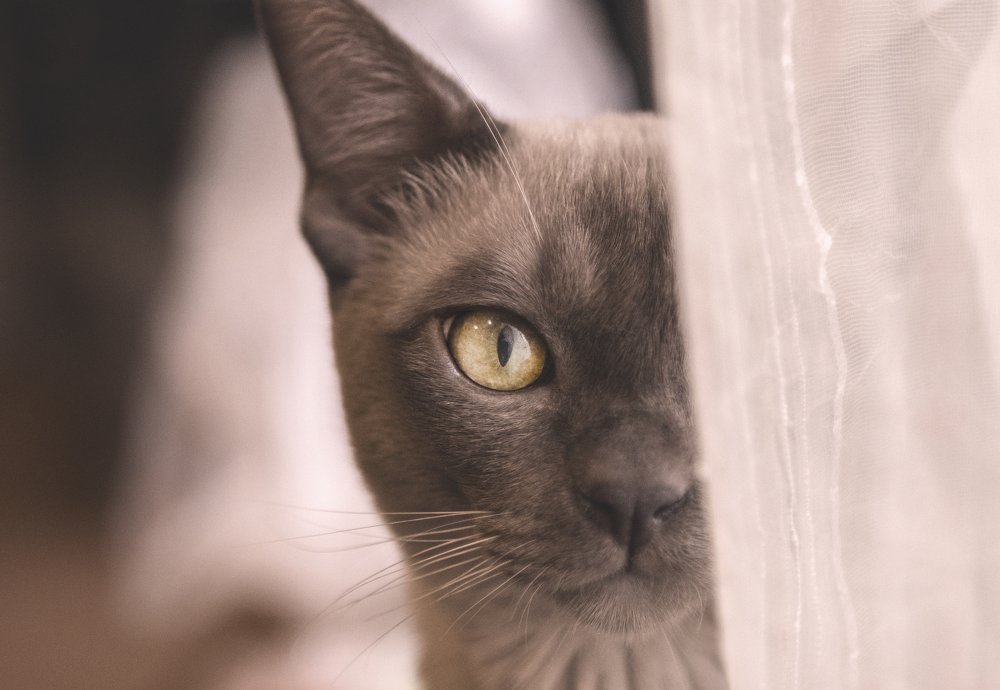 Photograph by Эльвира Полудницына