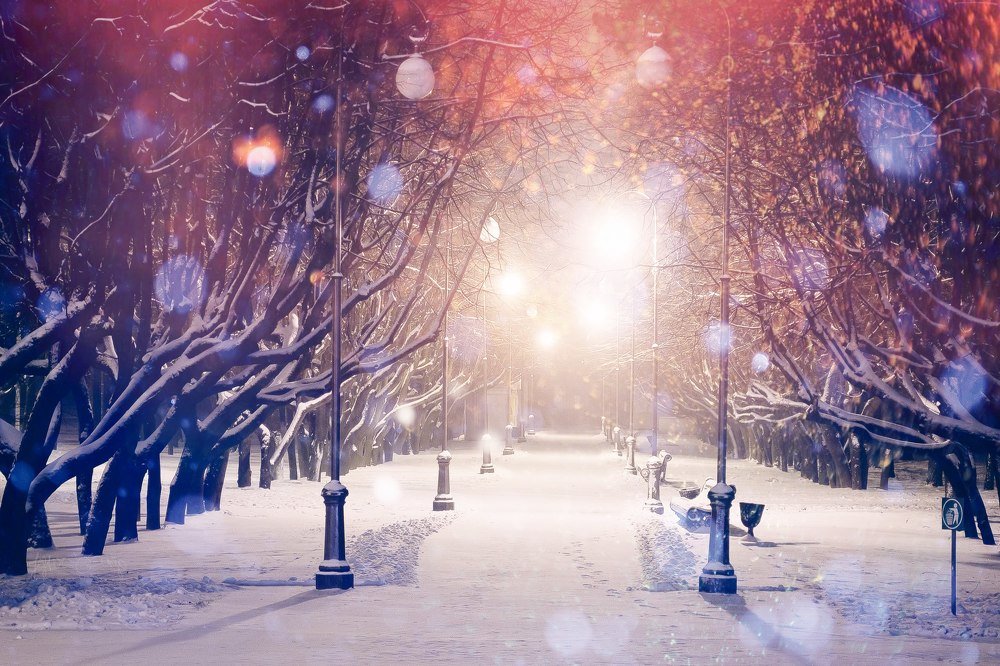 Photograph by Полина Хрол