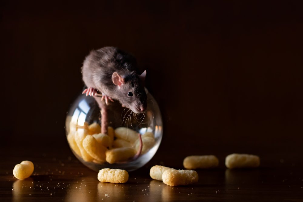 Photograph by Алёна Газукина