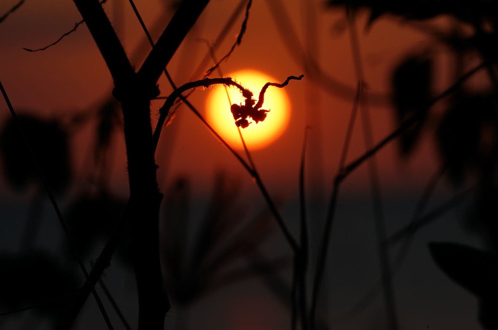 Photograph by Mahendratta Kusumawardhana