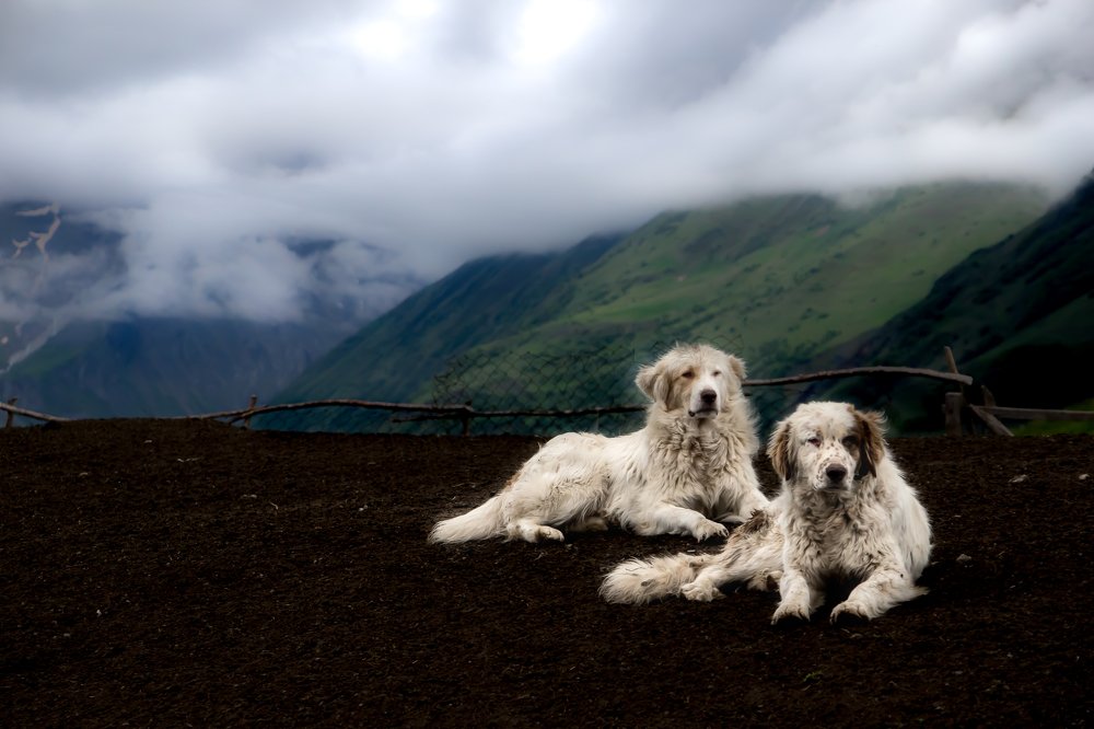 Photograph by Алёна Газукина