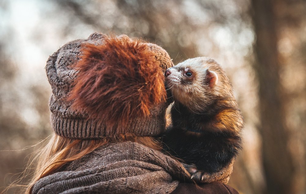 Тепло там, где мы вместе