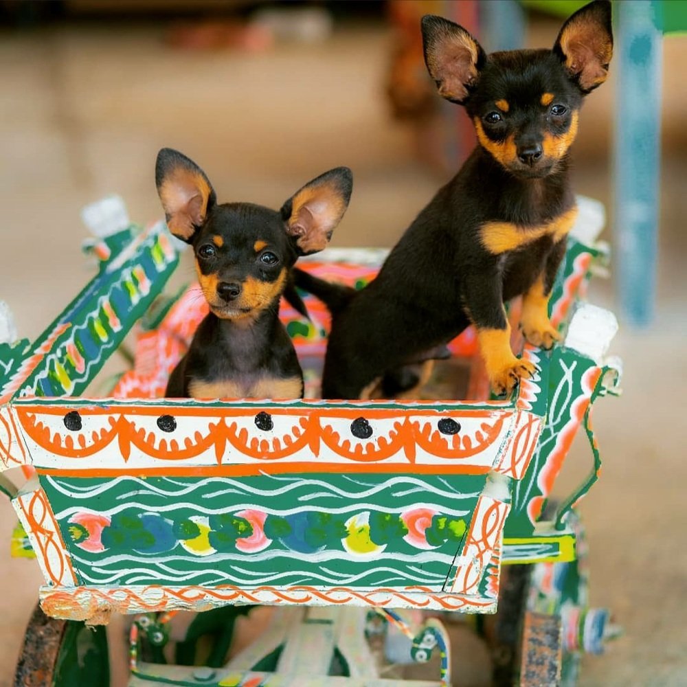 Photograph by Antonina Geçkil