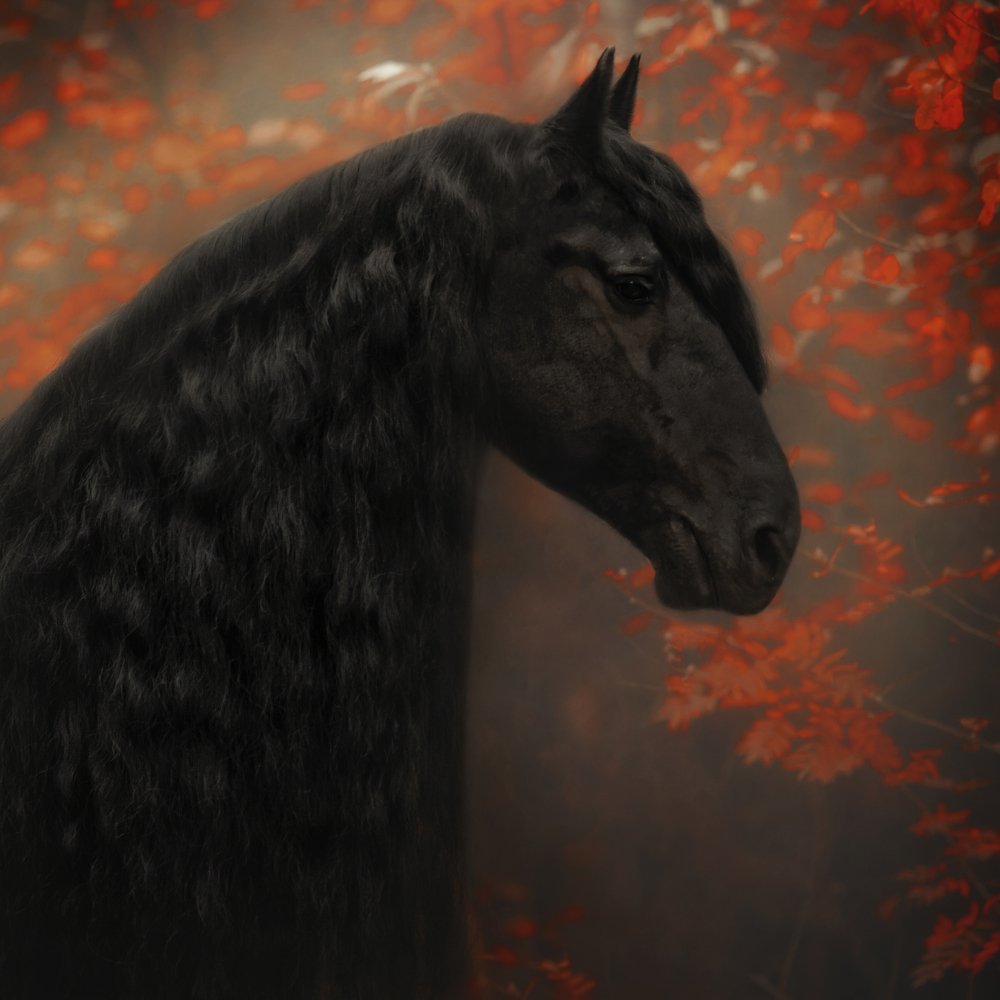 Photograph by Анастасия Корбут