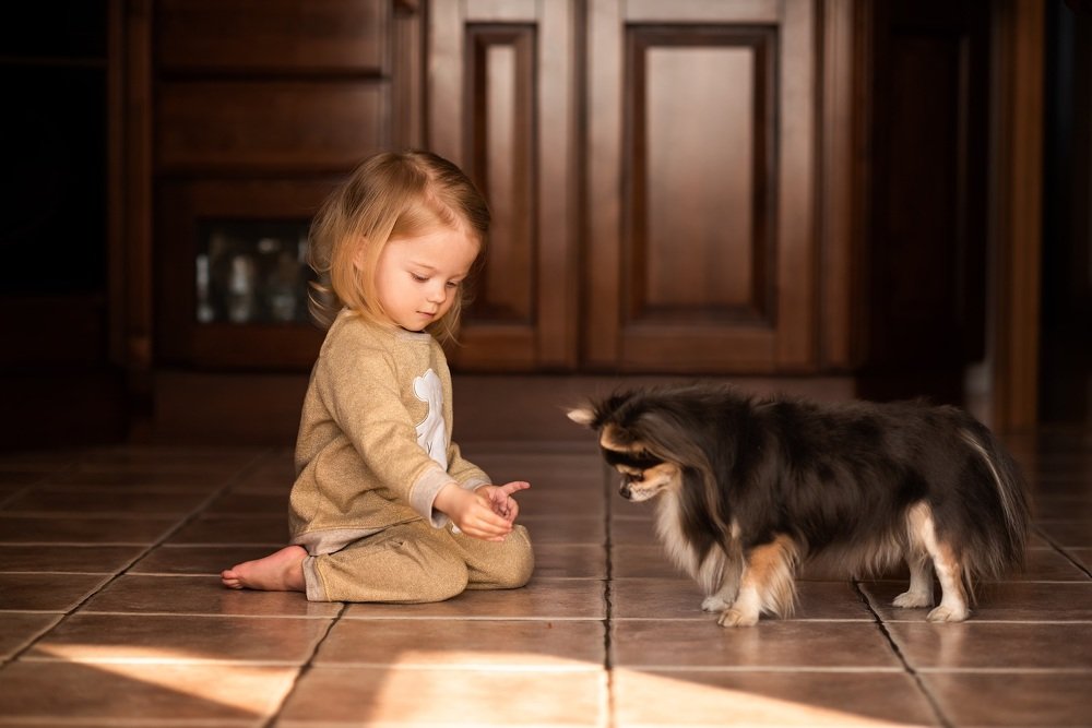 Photograph by Валентина Рязанцева