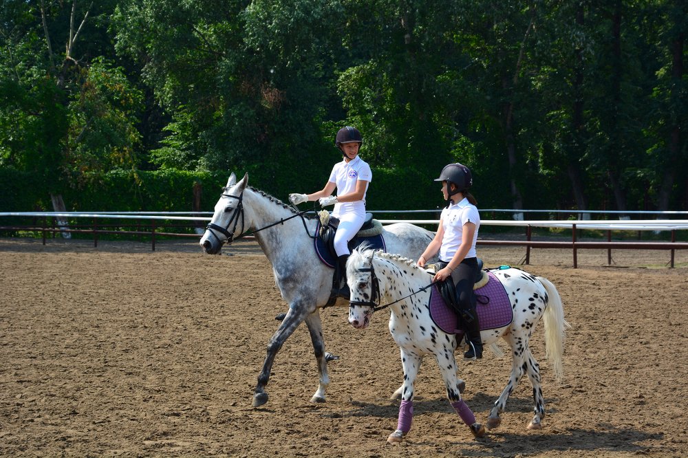 Photograph by Анатолий Орлов