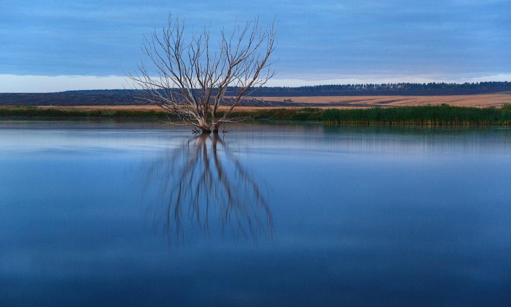 Photograph by Аркадий Саямов