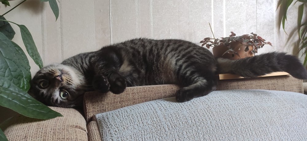 Photograph by Галина