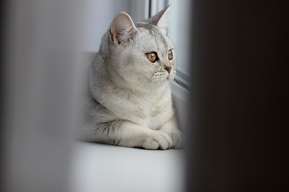 Арина Родионовна)