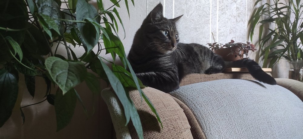 Photograph by Галина