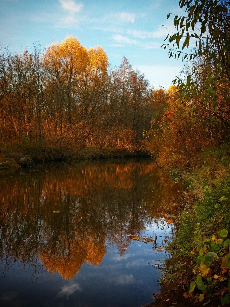 Берег Нирваны