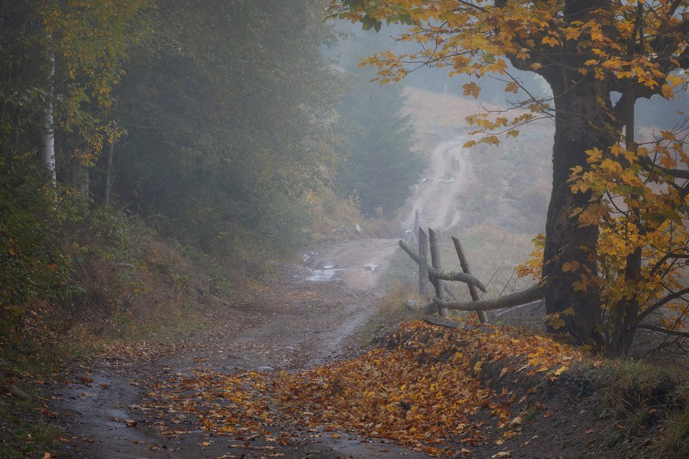 Осеннее настроение