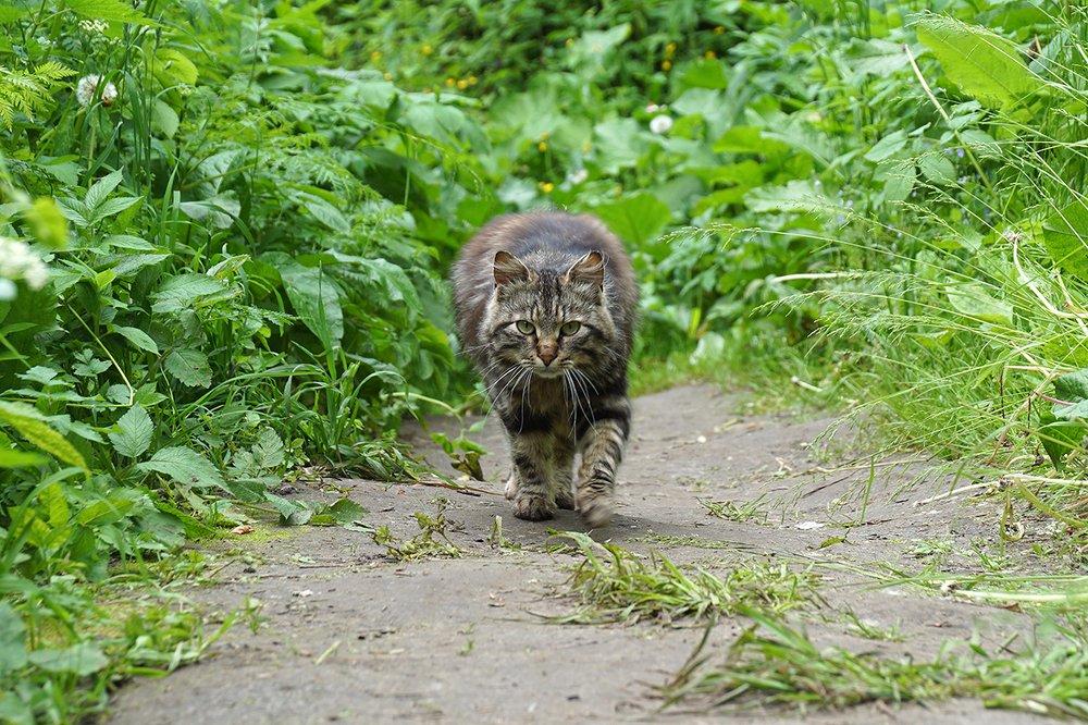 Photograph by Михаил Рассказ