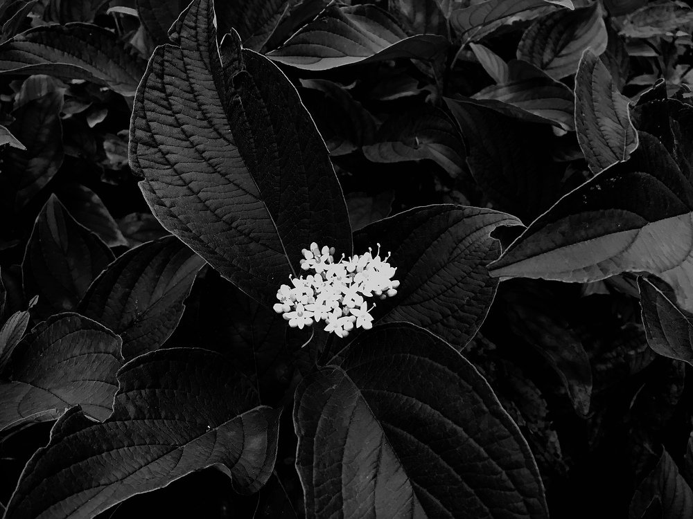 Photograph by Станислав Ситников