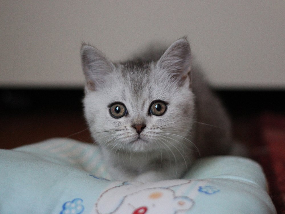 совсем малышка!