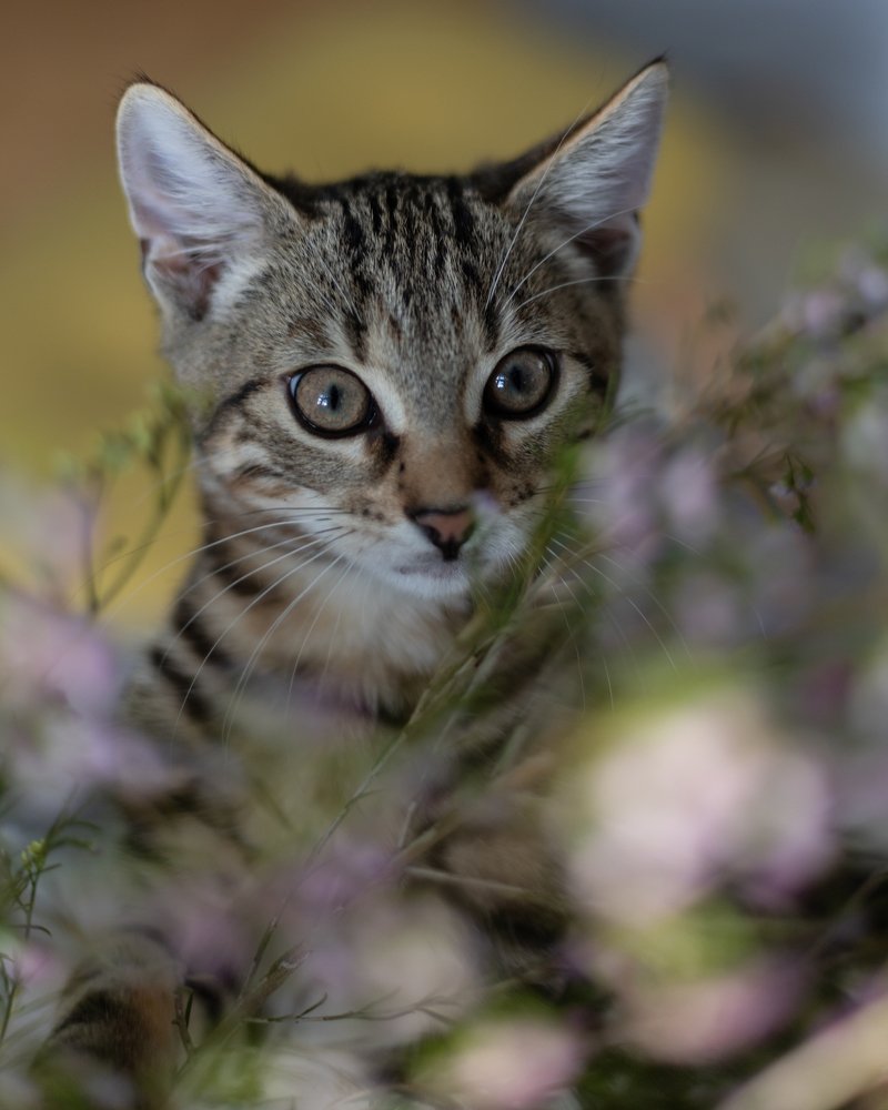 Photograph by Мария Григорьева