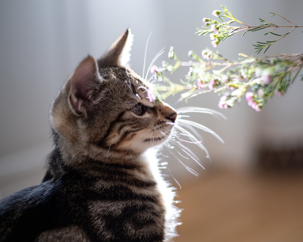 Photograph by Мария Григорьева