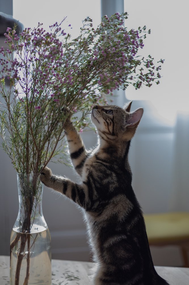 Photograph by Мария Григорьева