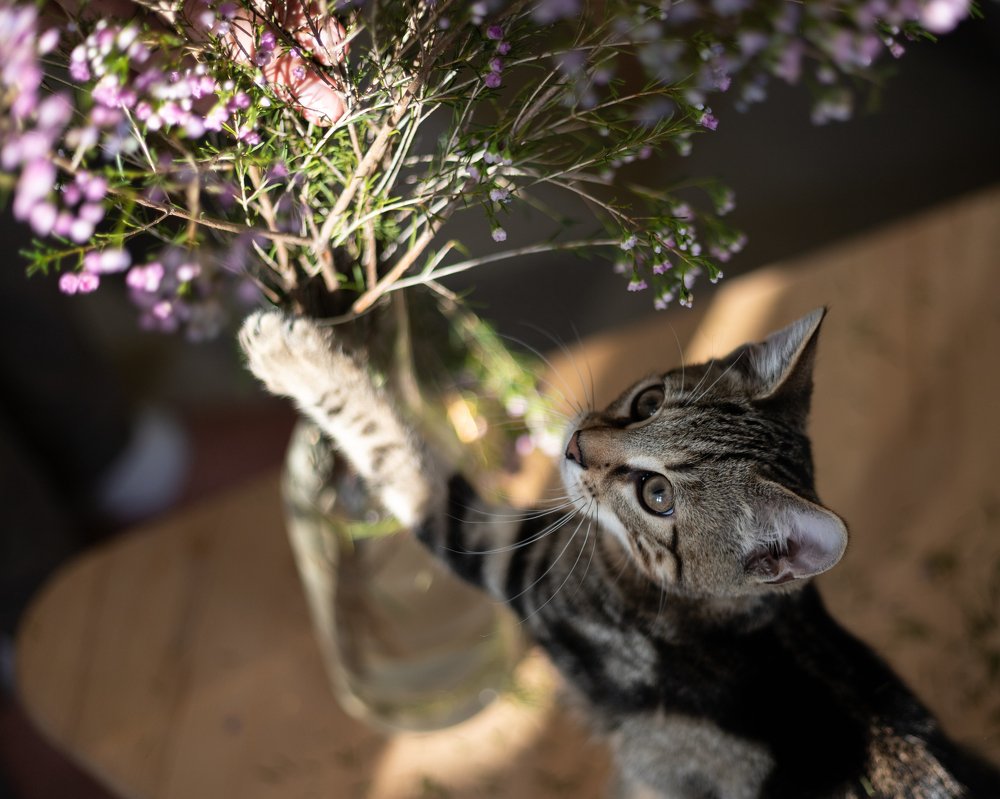 Photograph by Мария Григорьева