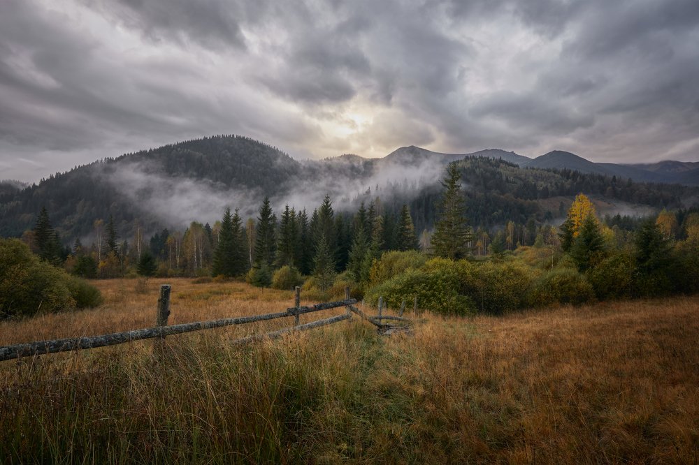 Photograph by Владислав Кучерук