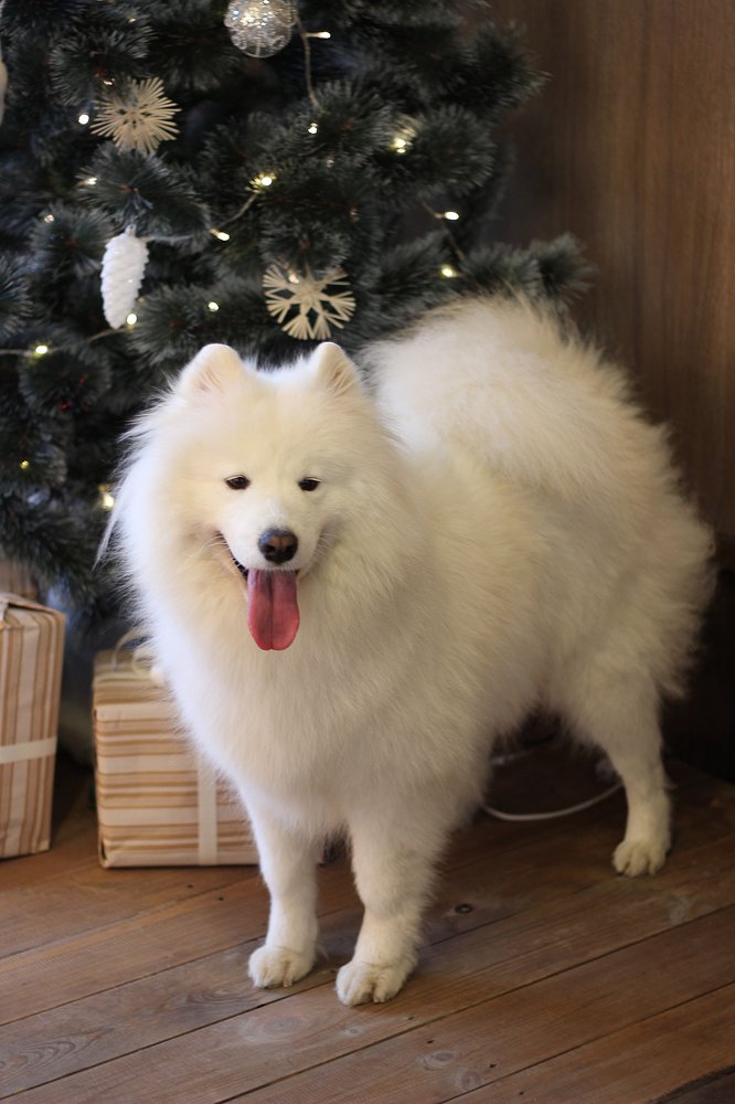 Photograph by Мария Попова