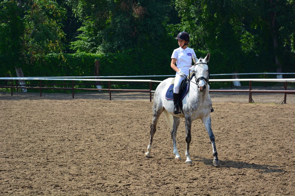 Photograph by Анатолий Орлов