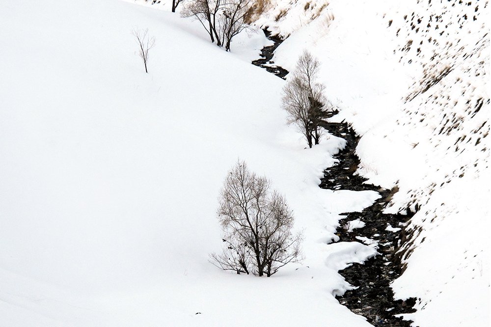 Photograph by Hengameh pirooz