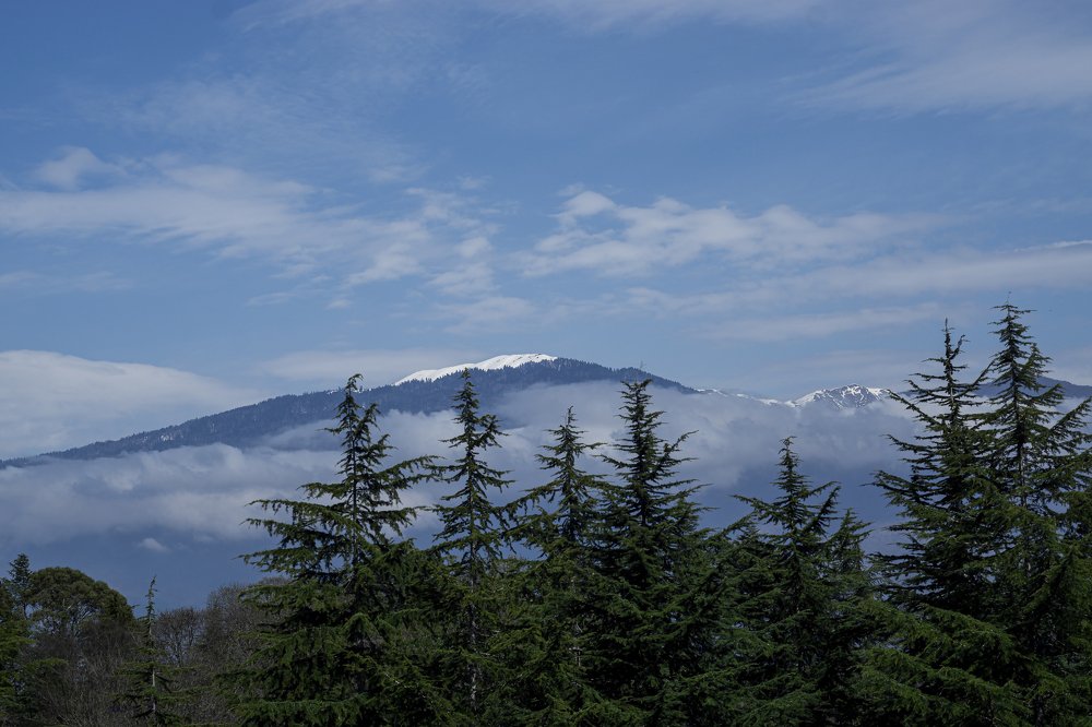 Photograph by Svoboda Andreeva