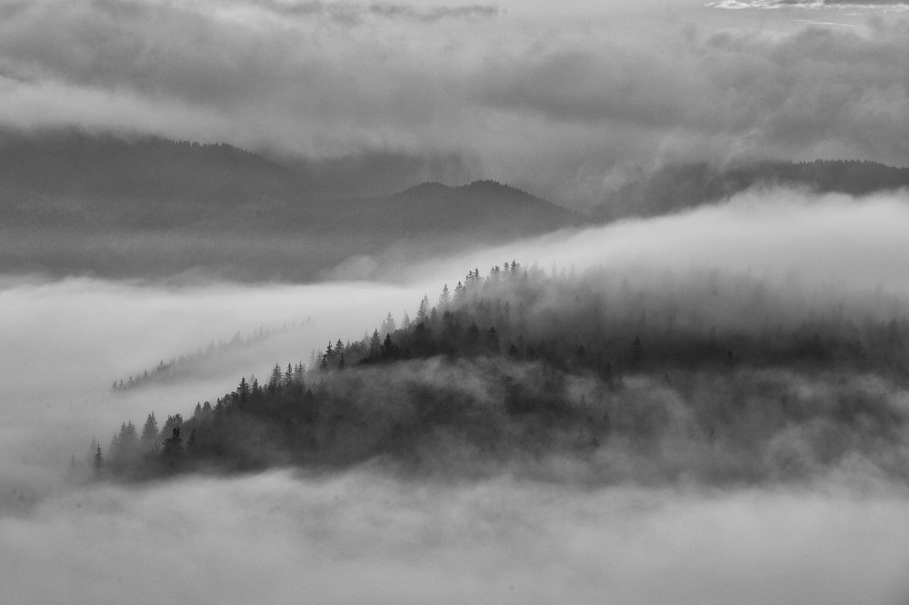 Photograph by Владислав Кучерук