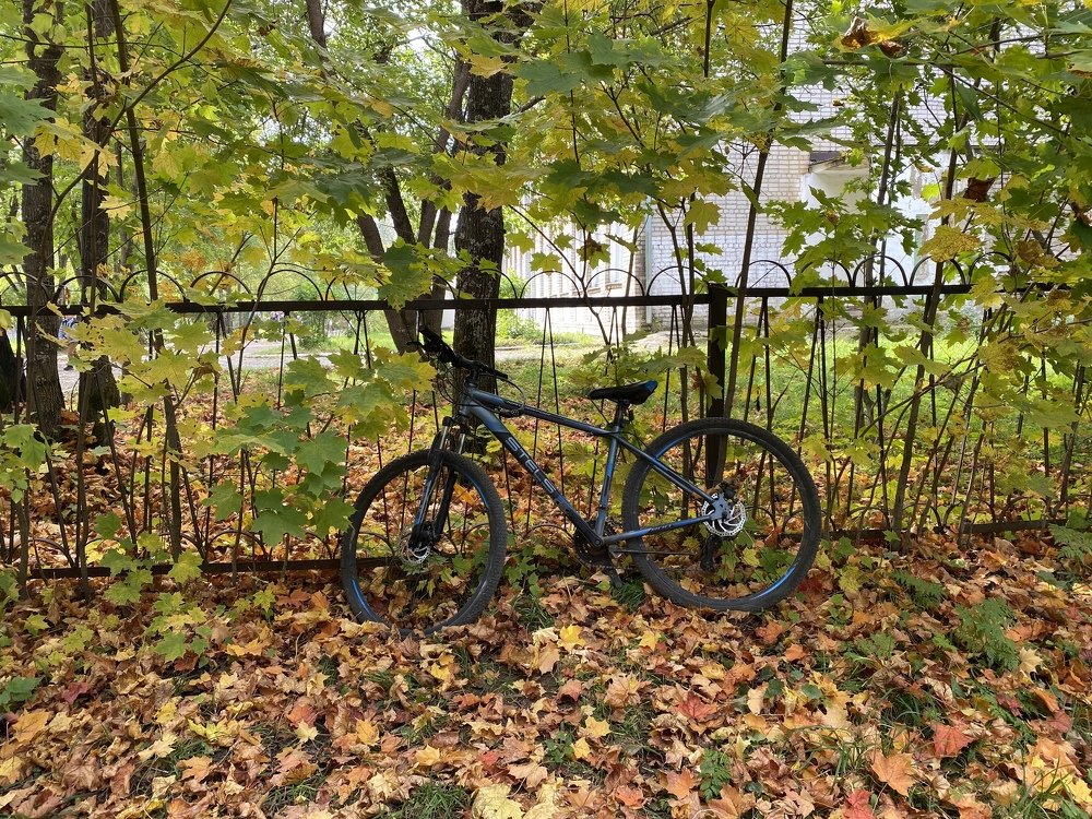 Photograph by Светлана Епифановских