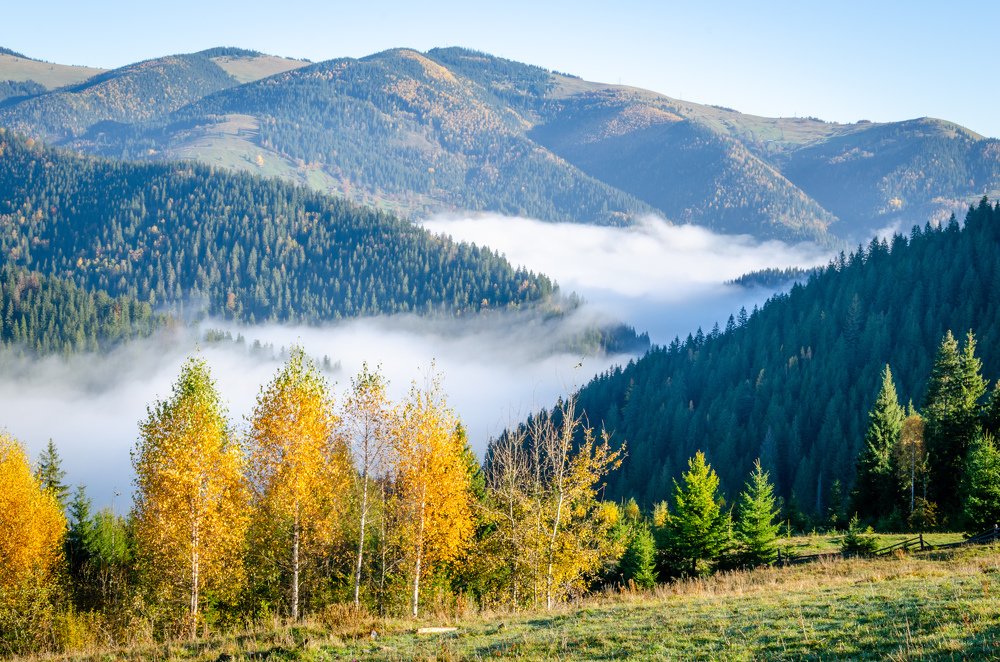 Photograph by Виктор Карпов