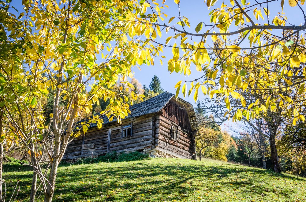 Photograph by Виктор Карпов