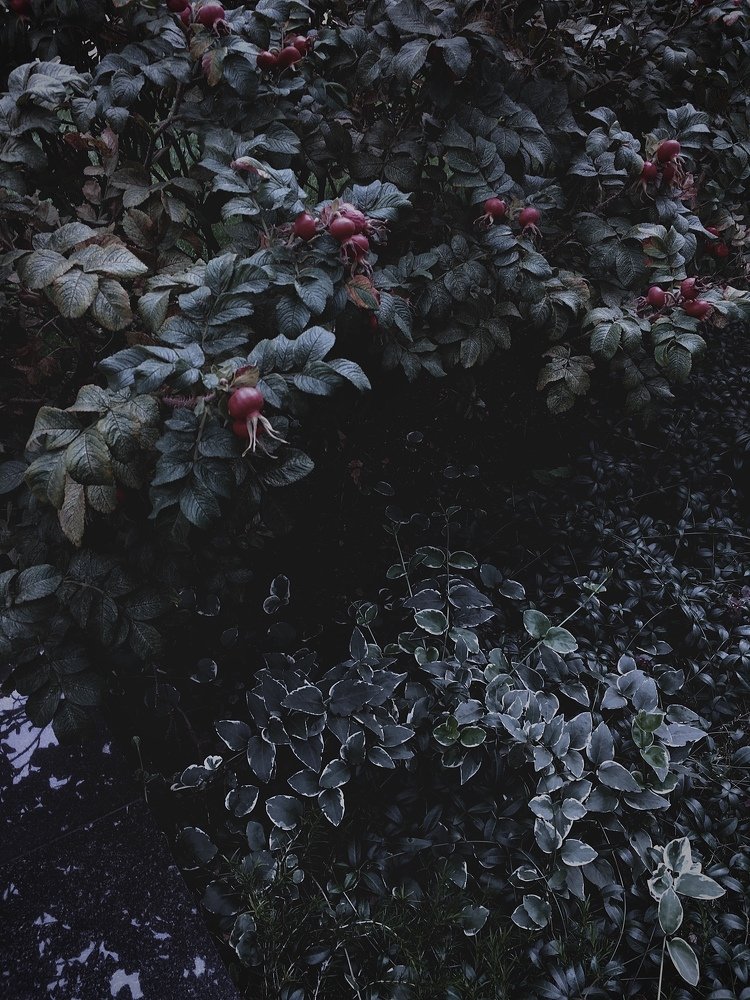 Photograph by Станислав Ситников