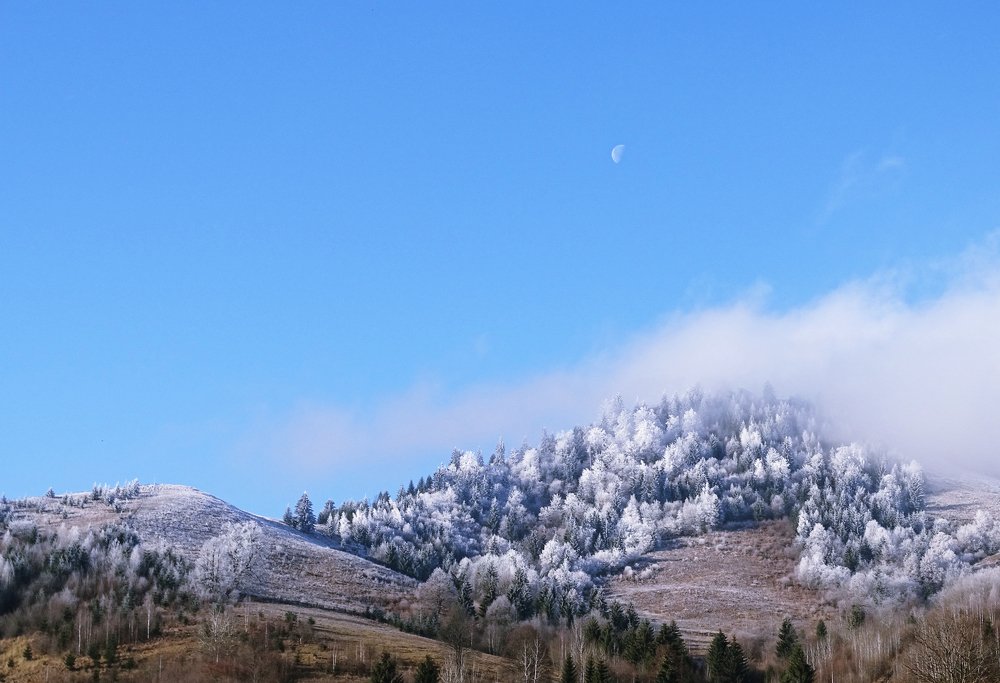 Фотография автора Remus Lucescu