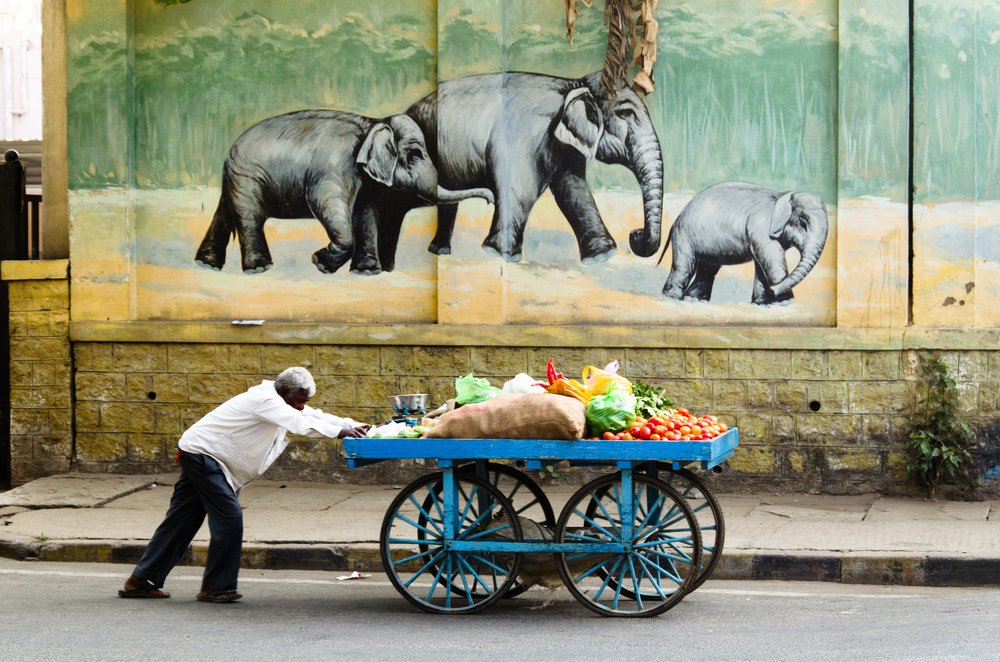 Photograph by Виктор Карпов